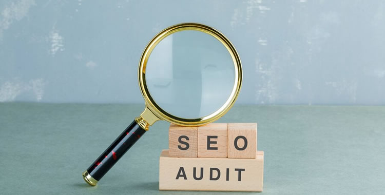 Unveiling-Insights-from-Your-Website--SEO-Audit-A-Comprehensive-Step-by-Step-Guide