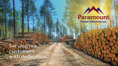 Paramount Timber